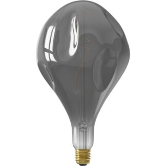 Trendhopper Verlichting Lichtbron Organic Evo Titanium E27